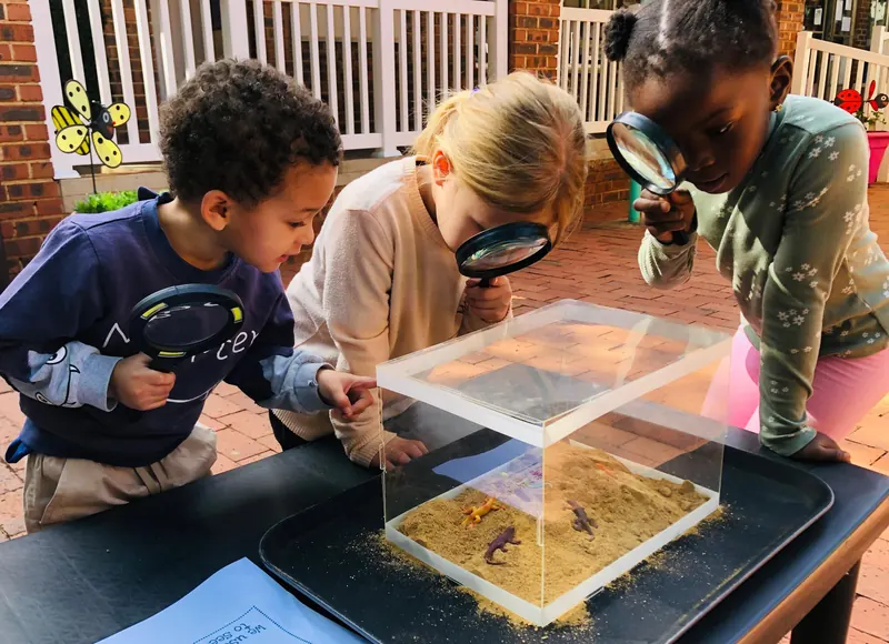 Children examining a tray through magnifying glasses